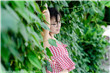 姐姐可以吗小说免费阅读