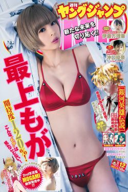 寒枝折不断电视剧免费观看